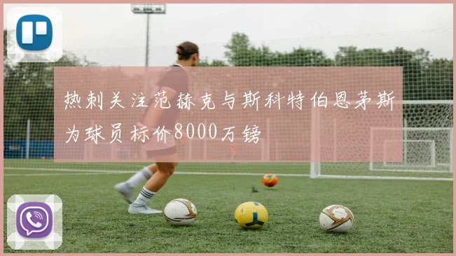 热刺关注范赫克与斯科特伯恩茅斯为球员标价8000万镑